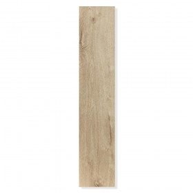 Дуб голландский SPC4404-foto3