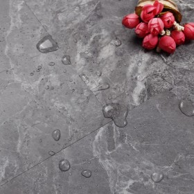 Рашмор M908 -foto2