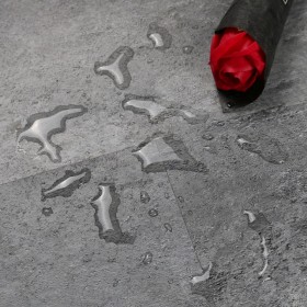 Атлас M909 -foto3