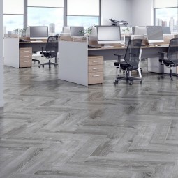 Дуб Страсбург ZH-81133-2 -foto2