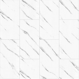 Калакатта ZH-81014-1 -foto2