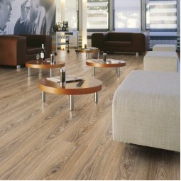 Дуб Олинда D 3529-foto3