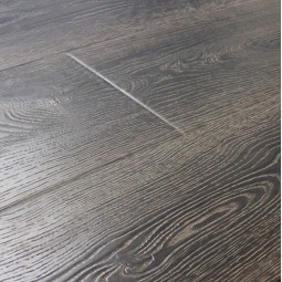 Дуб Робуст-foto2