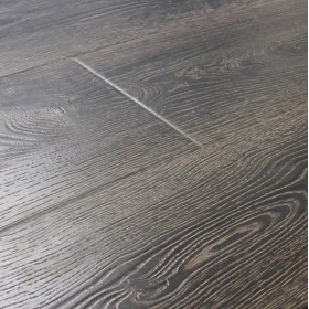 Дуб Робуст-foto2