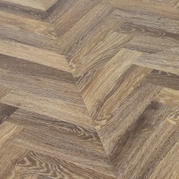 Дуб Беркли-foto2