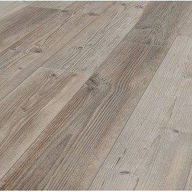 Сосна Маунтин Хат K047 -foto2