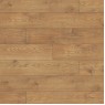 Tawny Chestnut 5537 
