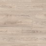 Mushroom Carpenter Oak K478