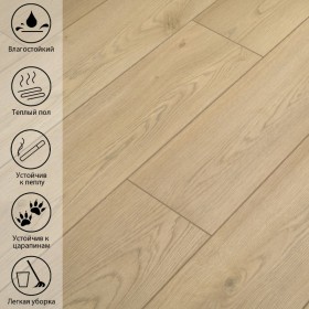 Монгольский Дуб GR 704-foto6