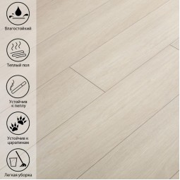 Акдаг Дуб VN-359-foto4