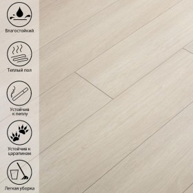 Акдаг Дуб VN-359-foto4