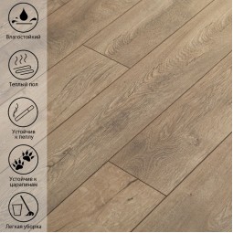 Ван Браун VN-511-foto6