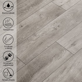 Ван Грей VN-512-foto4