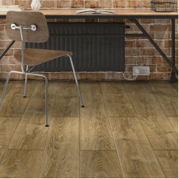 Дуб Кайкара VN-520 -foto2