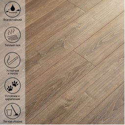 Дуб Кайкара VN-520 -foto4