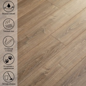 Дуб Кайкара VN-520 -foto4