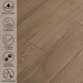 Кульский Каштан LF 706-foto6