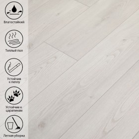 Истранца Дуб GR 700-foto4