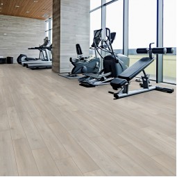 Испир GR 701-foto2