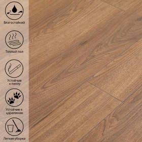 Медный Каштан LF 707-foto4