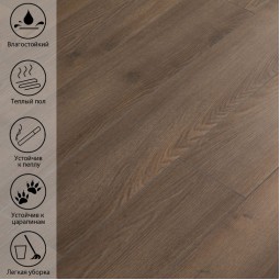 Дибек Дуб LF-710-foto4