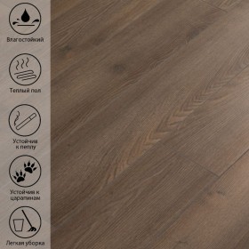 Дибек Дуб LF-710-foto4