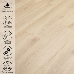 Ладик Дуб LE-517-foto3