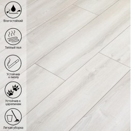 Песчаный Дуб LE-518-foto4