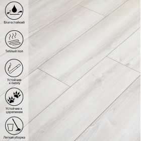 Песчаный Дуб LE-518-foto4