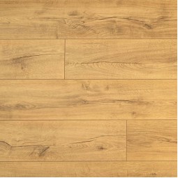 Дуб Голд DSG 905-foto2