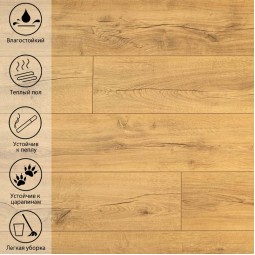 Дуб Голд DSG 905-foto3