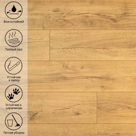 Дуб Голд DSG 905-foto3