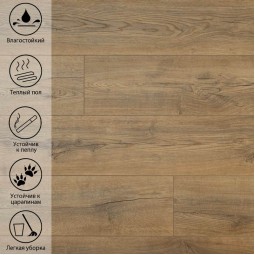 Дуб Кофейный PLT 906-foto3