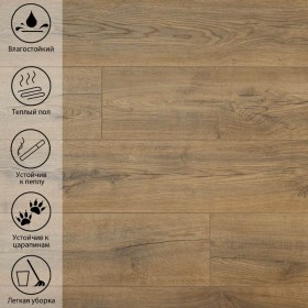 Дуб Кофейный PLT 906-foto3