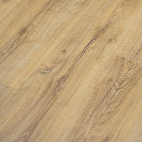 Дуб Кремовый DSG 904-foto4