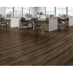 Дуб Вестхоф -foto2