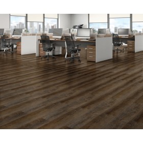 Дуб Вестхоф -foto2