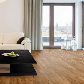 Camelback Oak -foto2