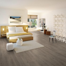 Дуб Кинг-Вильям-foto2