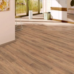 Дуб Сована H1089-foto2