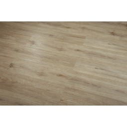 Cagliari 6087-16 -foto2