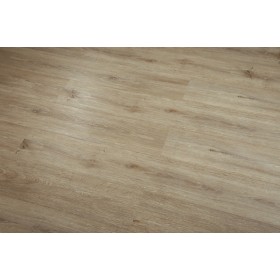 Cagliari 6087-16 -foto2