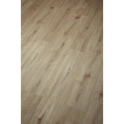 Cagliari 6087-16 -foto4