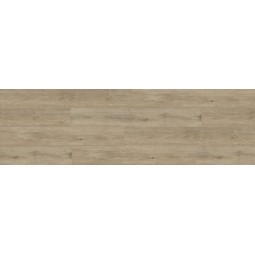 Cagliari 6087-16 -foto5