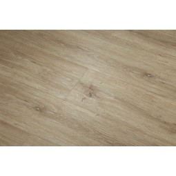 Cagliari 6087-16 -foto3