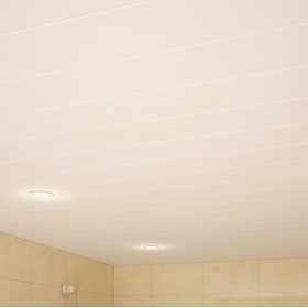 Рейка потолочная Албес A100AS-foto3