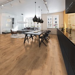 Дуб Кассада 56699-foto2