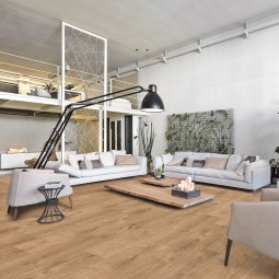 Дуб Каламба 56698-foto2