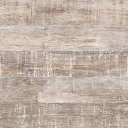 Дуб Канзас 42950 -foto2