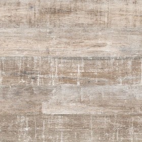 Дуб Канзас 42950 -foto2